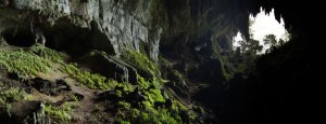 http://www.visit-malaysia.com/sarawak-tours/fairy-wind-cave.htm